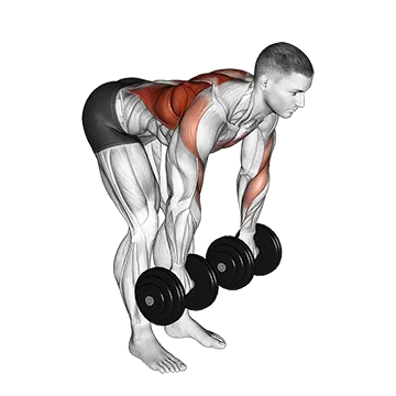 Dumbbell Palm Rotational Bent Over Row