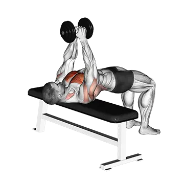 Dumbbell Pullover