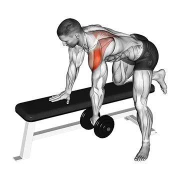 Dumbbell Rear Delt Row