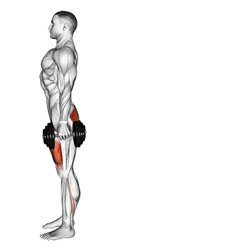 Dumbbell Rear Lunge