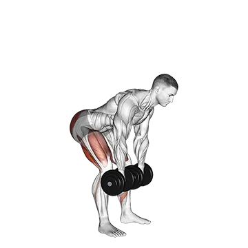 Dumbbell Romanian Deadlift