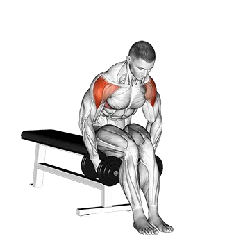 Dumbbell Seated Bent Arm Lateral Raise