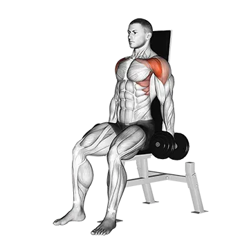 Dumbbell Seated Front Raise