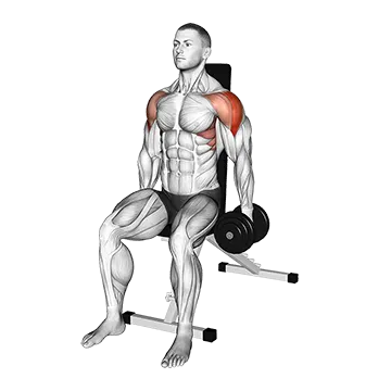 Dumbbell Seated Lateral Raise