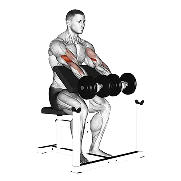 Dumbbell Seated Preacher Curl