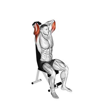 Dumbbell Seated Triceps Extension