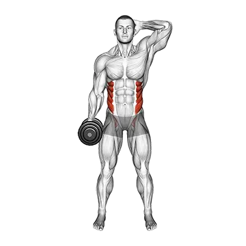 Dumbbell Side Bend