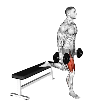 Dumbbell Single Leg Split Squat