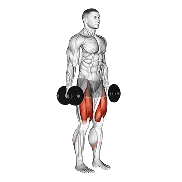 Dumbbell Squat