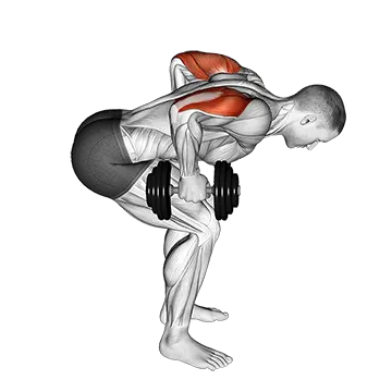 Dumbbell Standing Bent Over Two Arm Triceps Extension