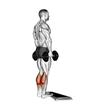 Dumbbell Standing Calf Raise