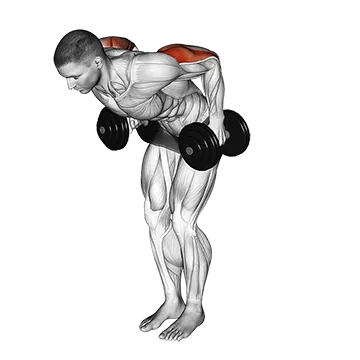 Dumbbell Standing Kickback