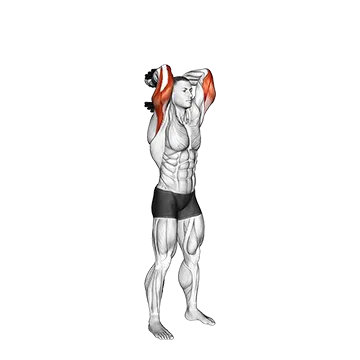 Dumbbell Standing Triceps Extension