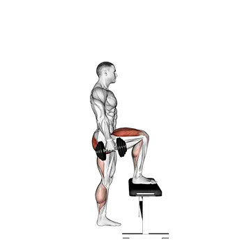 Dumbbell Step Up