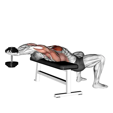 Dumbbell Straight Arm Pullover