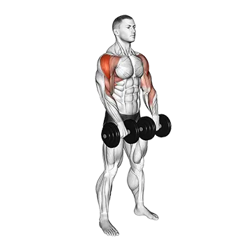 Dumbbell Upright Row (Front POV)
