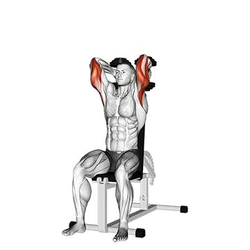 Dumbbells Seated Triceps Extension