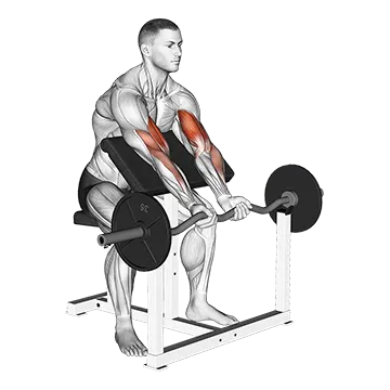 EZ Barbell Close Grip Preacher Curl