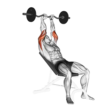 EZ Barbell Incline Triceps Extension