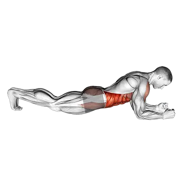Front Plank