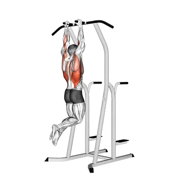 Hammer Grip Pull Up On Dip Cage