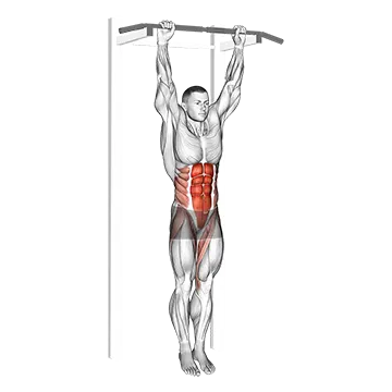 Hanging Leg Hip Raise