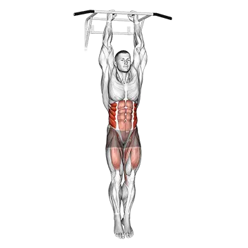Hanging Oblique Knee Raise
