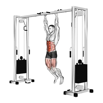 Hanging Straight Leg Hip Raise