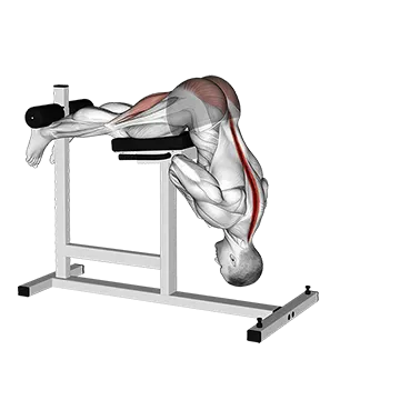 Hyperextension (VERSION 2)