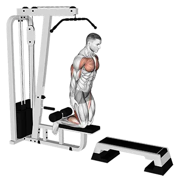 Inverse Leg Curl (On Pull Up Cable Machine)