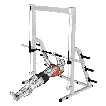 Inverted Row