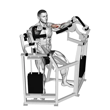 Lever Bicep Curl