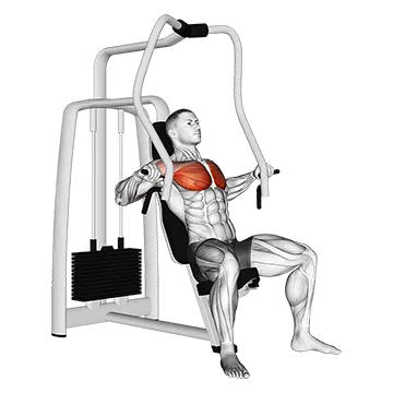 Lever Chest Press (VERSION 2)