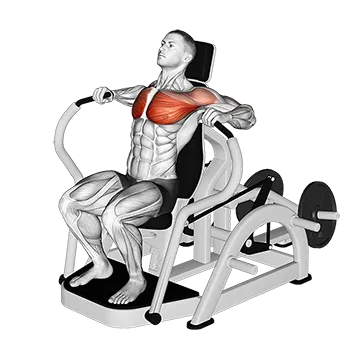 Lever Chest Press (VERSION 4)