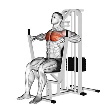 Lever Chest Press