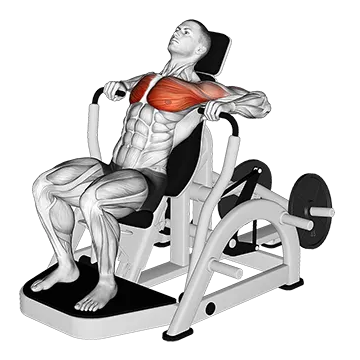Lever Decline Chest Press (VERSION 2)