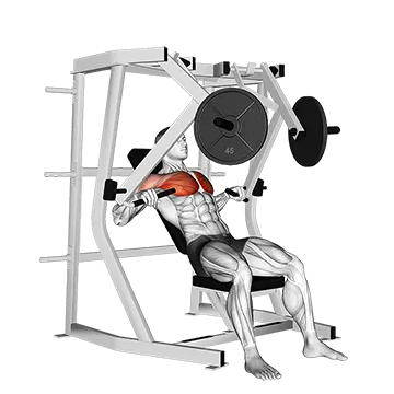 Lever Decline Chest Press