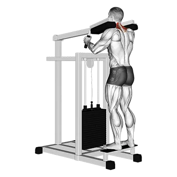 Lever Gripless Shrug (VERSION 2)