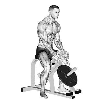 Lever Gripper Hands (Plate Loaded)