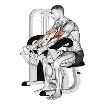 Lever Hammer Grip Preacher Curl
