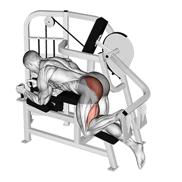 Lever Hip Extension (VERSION 2)