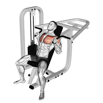 Lever Incline Hammer Chest Press