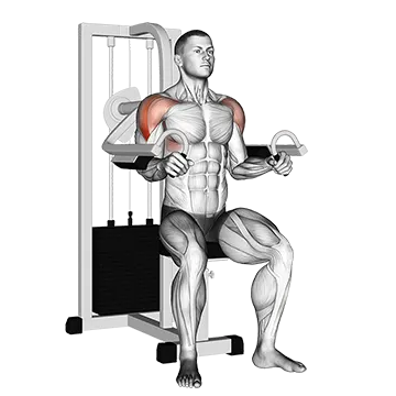 Lever Lateral Raise