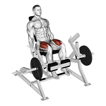 Lever Leg Extension (Plate Loaded)
