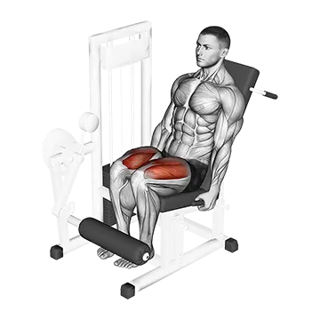 Lever Leg Extension