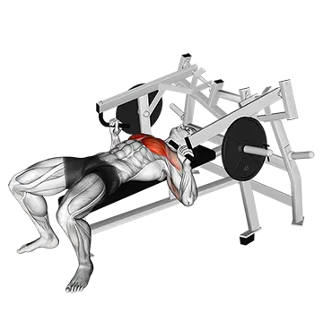 Lever Lying Chest Press (Plate Loaded)