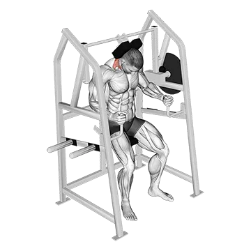 Lever Neck Extension (Plate Loaded)