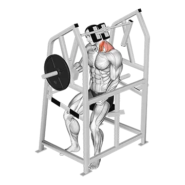 Lever Neck Left Side Flexion (Plate Loaded)