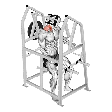 Lever Neck Right Side Flexion (Plate Loaded)