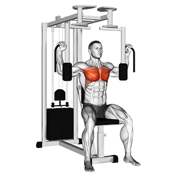 Lever Pec Deck Fly